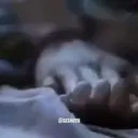Autocollant