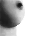 ਸਟਿਕਰ