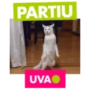 Stiker