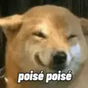 Límmiði