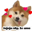 Naklejka