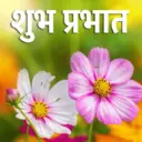 स्टिकर