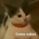 Stika