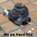 Stika