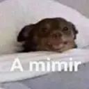 Stika