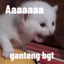 Autocollant