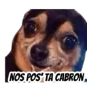 Stika