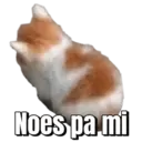 Samolepka