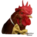 Límmiði