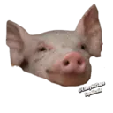 Límmiði