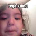 贴纸
