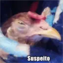 스티커