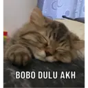 ਸਟਿਕਰ