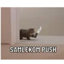 ਸਟਿਕਰ