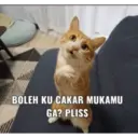 ਸਟਿਕਰ