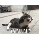 ملصق