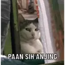 ملصق