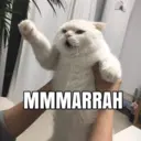 ملصق