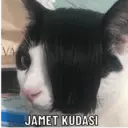 ਸਟਿਕਰ