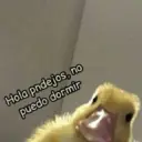 Naljepnica