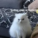 Naljepnica