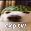 ملصق