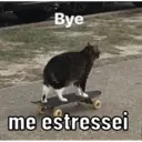 贴纸