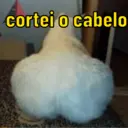 Autocollant