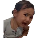 贴纸