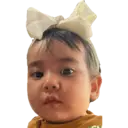 贴纸