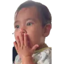 贴纸