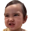 贴纸