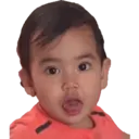 贴纸