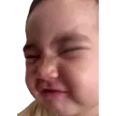 贴纸