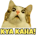 Stika