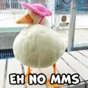 Límmiði