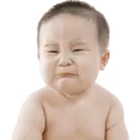 贴纸