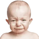 贴纸