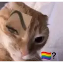 ملصق