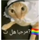 ملصق
