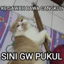Stiker