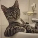 Figurinha