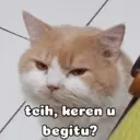贴纸