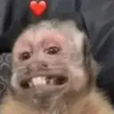 Límmiði