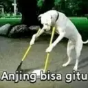 Autocollant