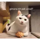 Стикер