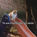 Stika