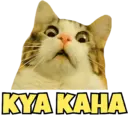 Stika