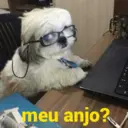 Figurinha