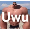 ਸਟਿਕਰ